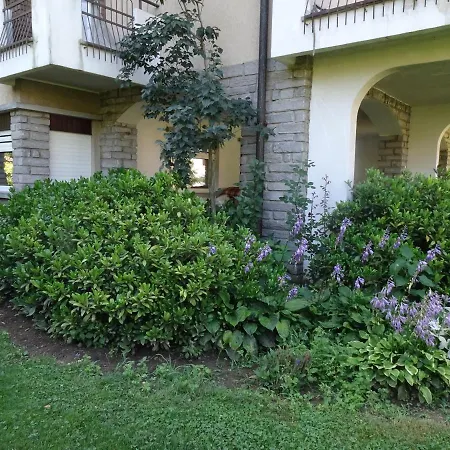 Il Giardino Delle Ortensie